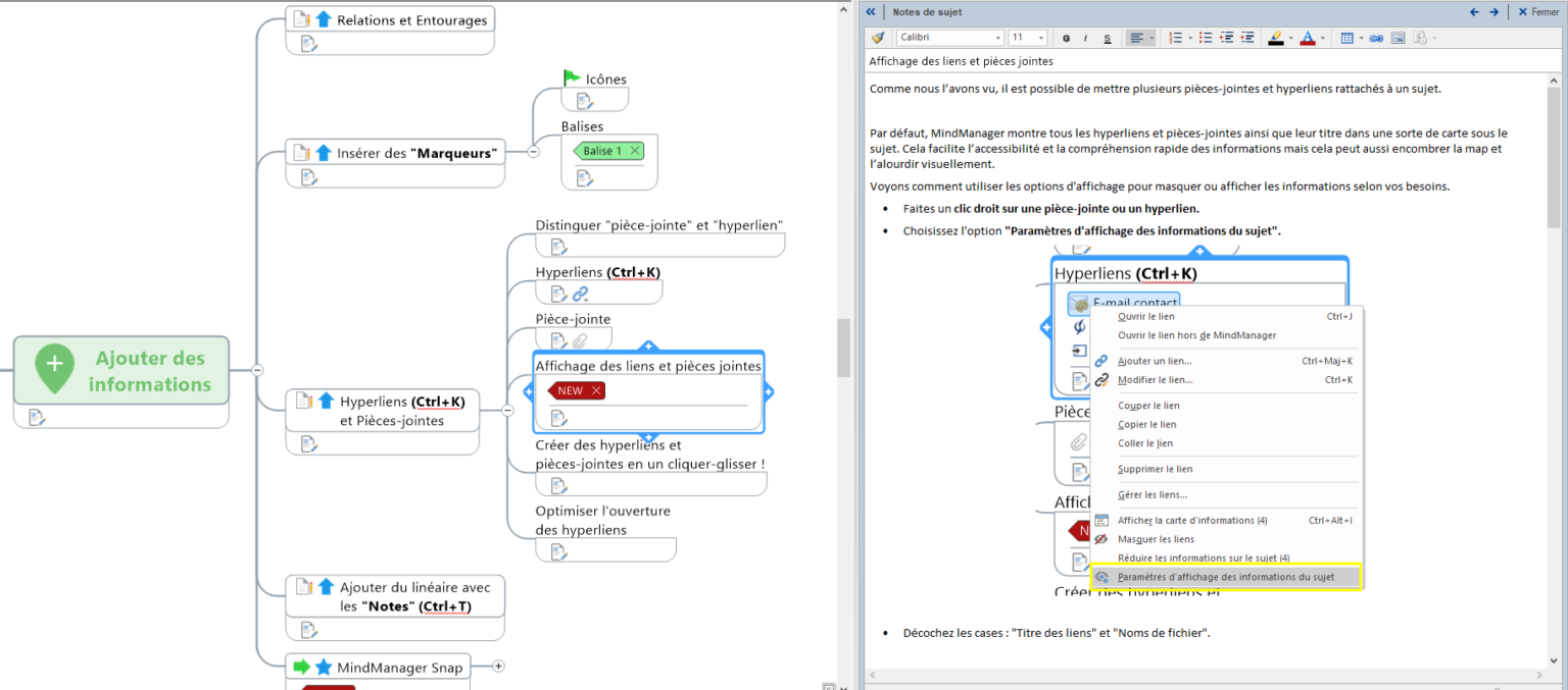 Manuel MindManager - MMD France