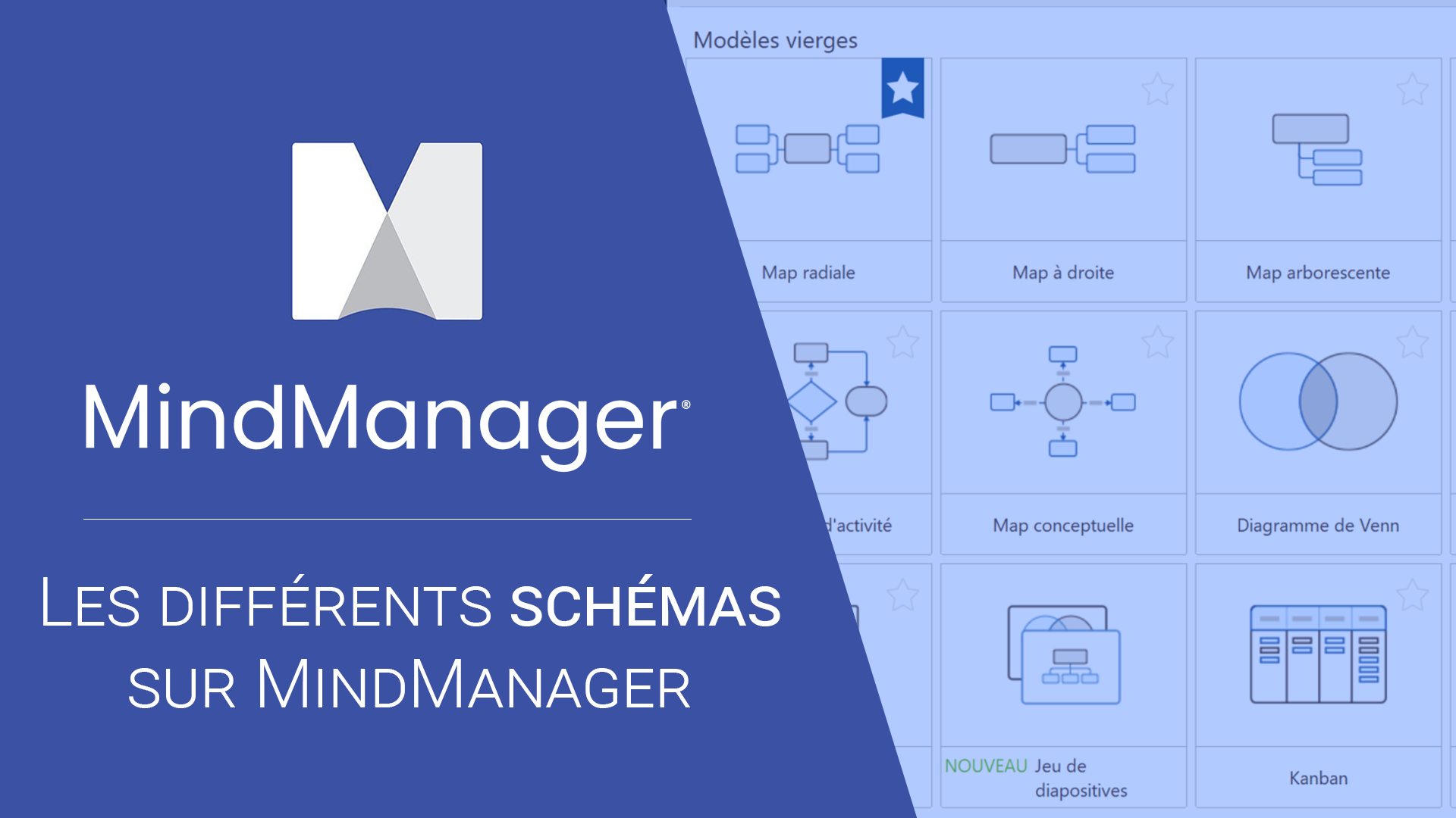 Les différents schémas MindManager - MMD France