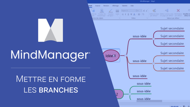 Mettre en forme les branches sur MindManager