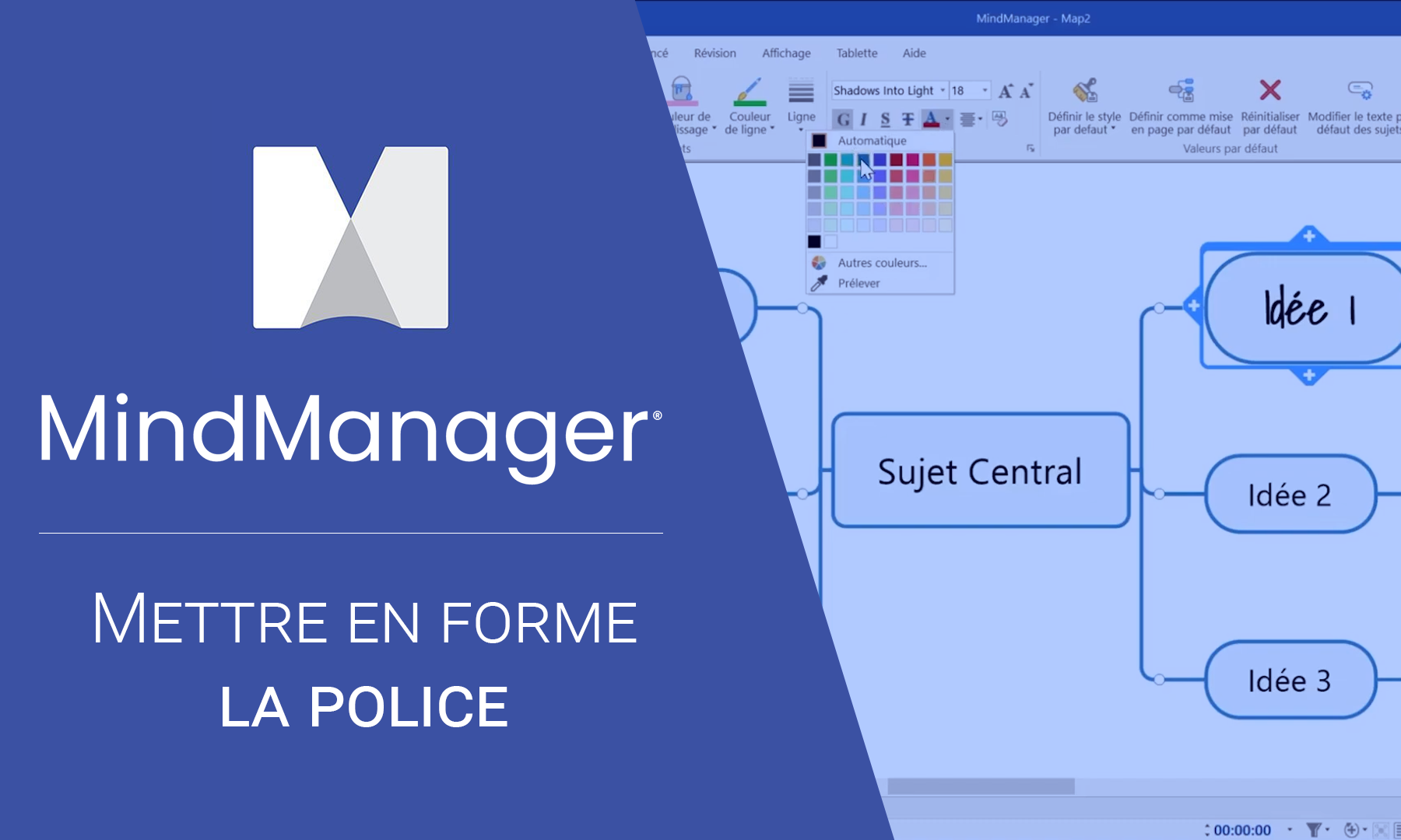 Mettre en forme la police dans MindManager
