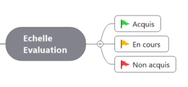 Echelle d'évaluation de compétences sur MindManager