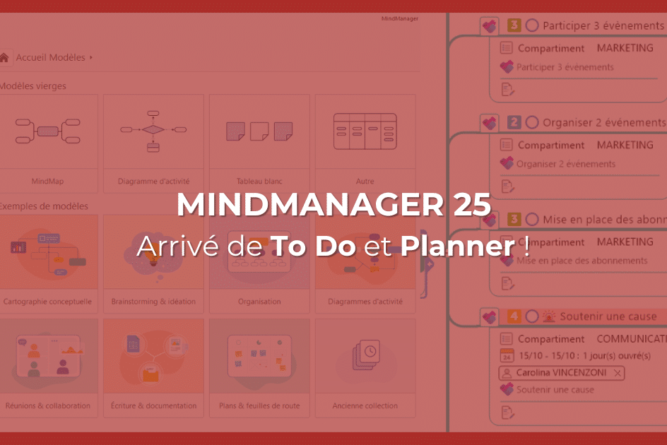 MMD France - Experts MindManager